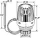 https://raleo.de:443/files/img/11eeebd9eab316e09e22cf1d734039d6/size_s/IMI-Hydronic-Engineering-IMI-HEIMEIER-Thermostat-Kopf-K-mit-Anlege-bzw-Tauchfuehler-20-50-Grad-C-6402-09-500 gallery number 2